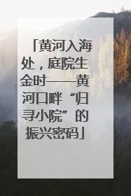 黄河入海处，庭院生金时——黄河口畔“归寻小院”的振兴密码