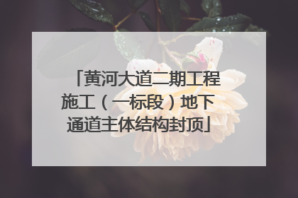 黄河大道二期工程施工（一标段）地下通道主体结构封顶