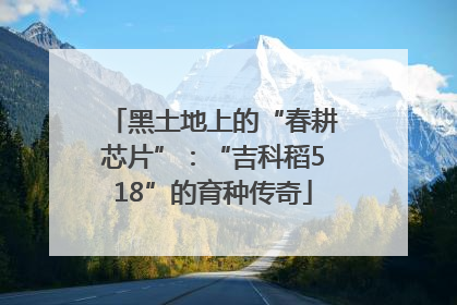 黑土地上的“春耕芯片”：“吉科稻518”的育种传奇