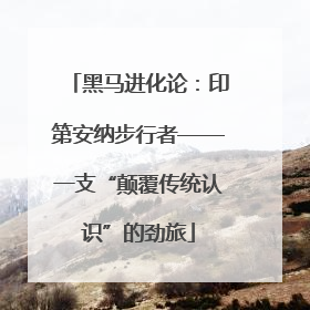 黑马进化论：印第安纳步行者——一支“颠覆传统认识”的劲旅