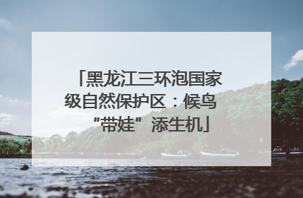 黑龙江三环泡国家级自然保护区：候鸟“带娃”添生机