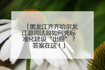 黑龙江齐齐哈尔龙江县司法局如何凭标准化建设“出圈”？答案在这！