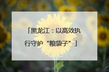 黑龙江：以高效执行守护“粮袋子”