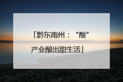 黔东南州：“酸”产业酿出甜生活