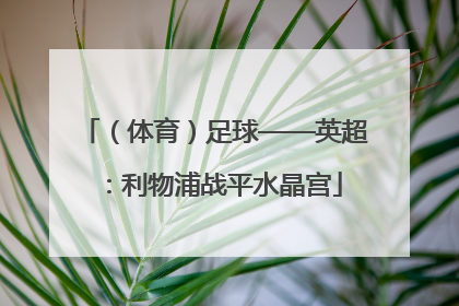 （体育）足球——英超：利物浦战平水晶宫