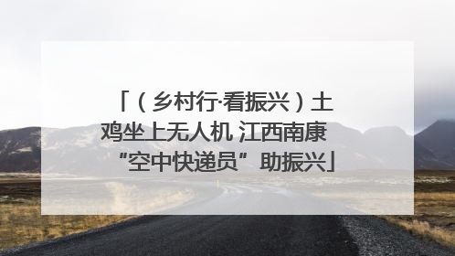 （乡村行·看振兴）土鸡坐上无人机 江西南康“空中快递员”助振兴