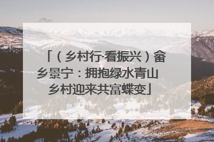 （乡村行·看振兴）畲乡景宁：拥抱绿水青山 乡村迎来共富蝶变