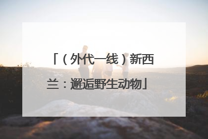 （外代一线）新西兰：邂逅野生动物