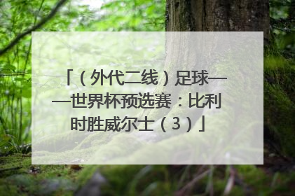 （外代二线）足球——世界杯预选赛：比利时胜威尔士（3）
