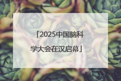 2025中国脑科学大会在汉启幕