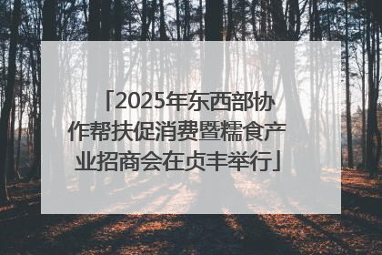 2025年东西部协作帮扶促消费暨糯食产业招商会在贞丰举行