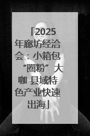 2025年廊坊经洽会：小箱包“圈粉”大咖 县域特色产业快速出海