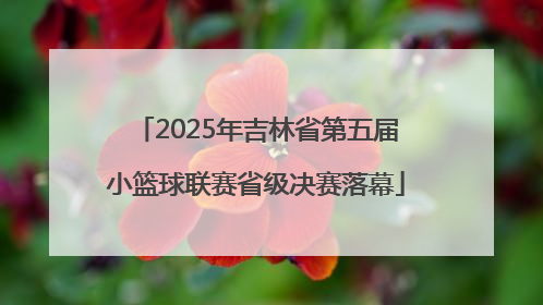 2025年吉林省第五届小篮球联赛省级决赛落幕