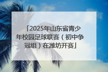 2025年山东省青少年校园足球联赛（初中争冠组）在潍坊开赛