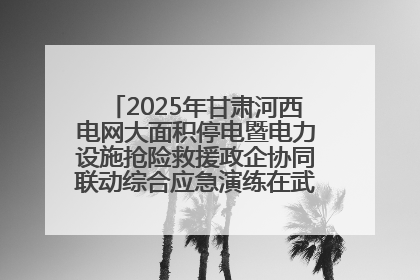 2025年甘肃河西电网大面积停电暨电力设施抢险救援政企协同联动综合应急演练在武威成功举行
