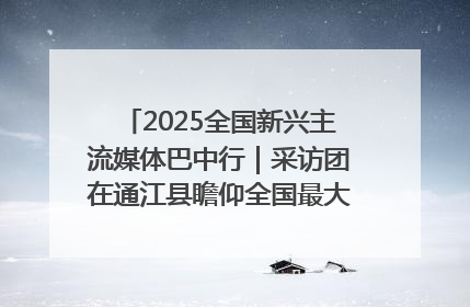 2025全国新兴主流媒体巴中行｜采访团在通江县瞻仰全国最大红军烈士陵园