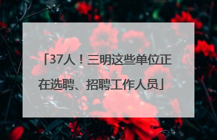 37人！三明这些单位正在选聘、招聘工作人员