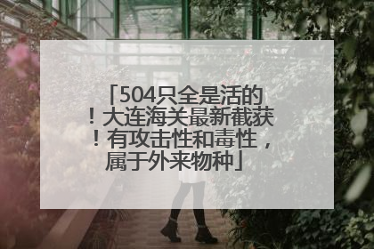 504只全是活的！大连海关最新截获！有攻击性和毒性，属于外来物种
