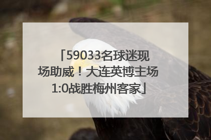 59033名球迷现场助威！大连英博主场1:0战胜梅州客家