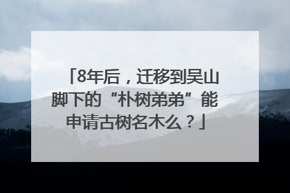 8年后，迁移到吴山脚下的“朴树弟弟”能申请古树名木么？