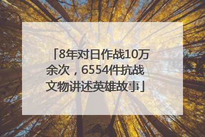 8年对日作战10万余次，6554件抗战文物讲述英雄故事