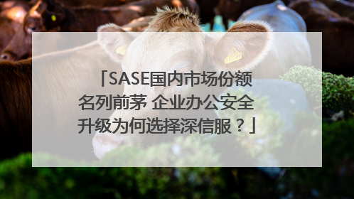 SASE国内市场份额名列前茅 企业办公安全升级为何选择深信服？