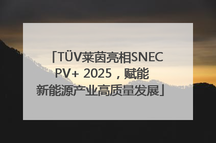 TÜV莱茵亮相SNEC PV+ 2025，赋能新能源产业高质量发展